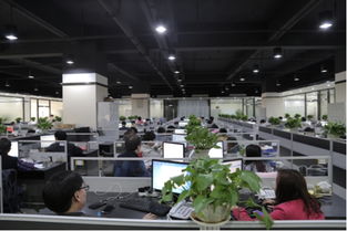 走访欢酷 以技术转让为纽带，筑牢产品安全与质量的基石